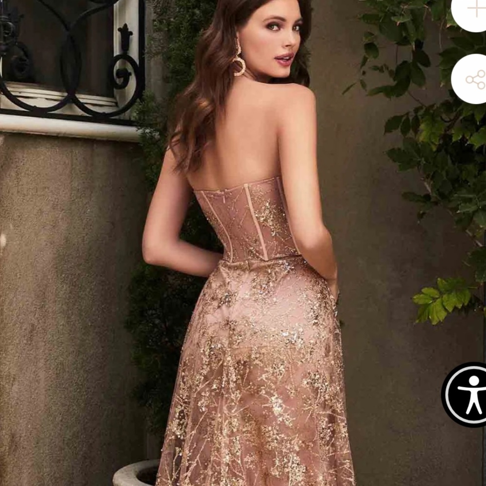 Cinderella divine dress/prom/wedding